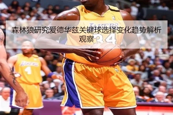 森林狼研究爱德华兹关键球选择变化趋势解析观察